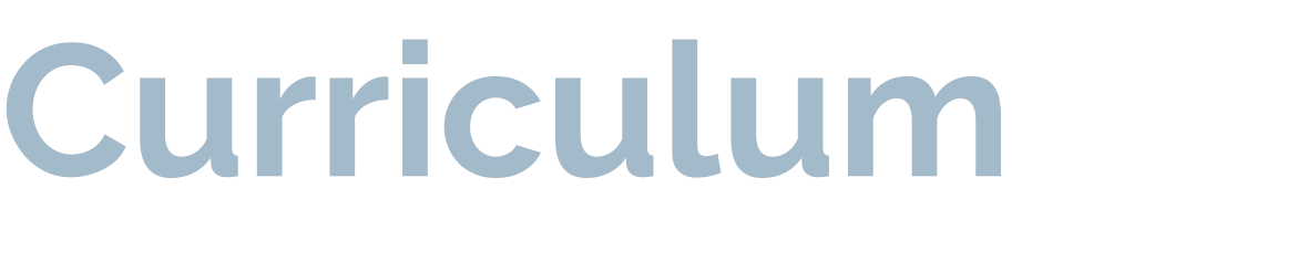 Curriculum