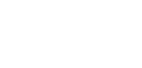 Curriculum