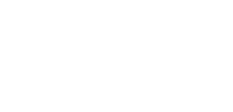 Curriculum